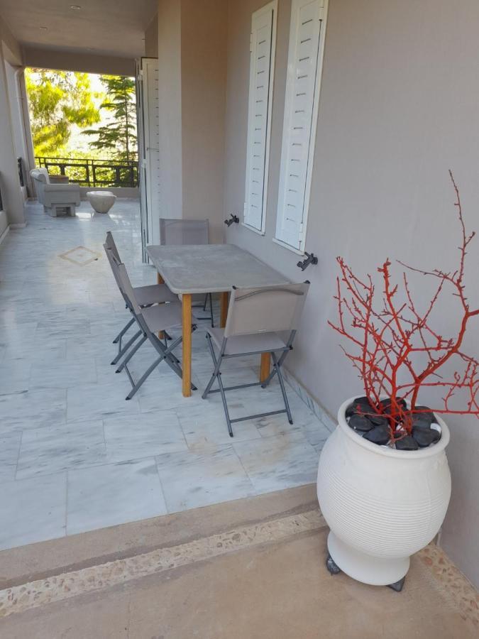 Suite With Garden Agia Marina  Dış mekan fotoğraf