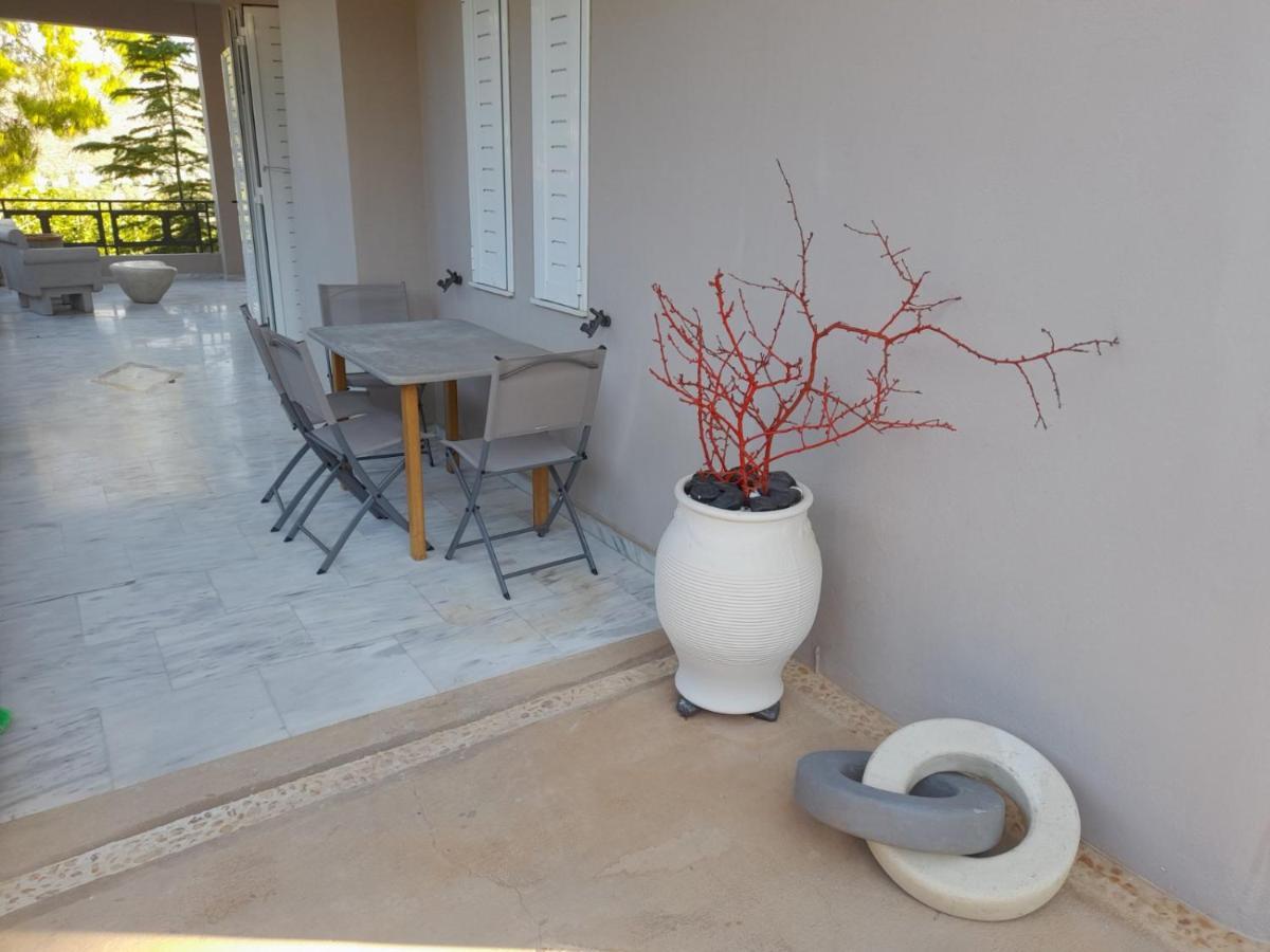 Suite With Garden Agia Marina  Dış mekan fotoğraf